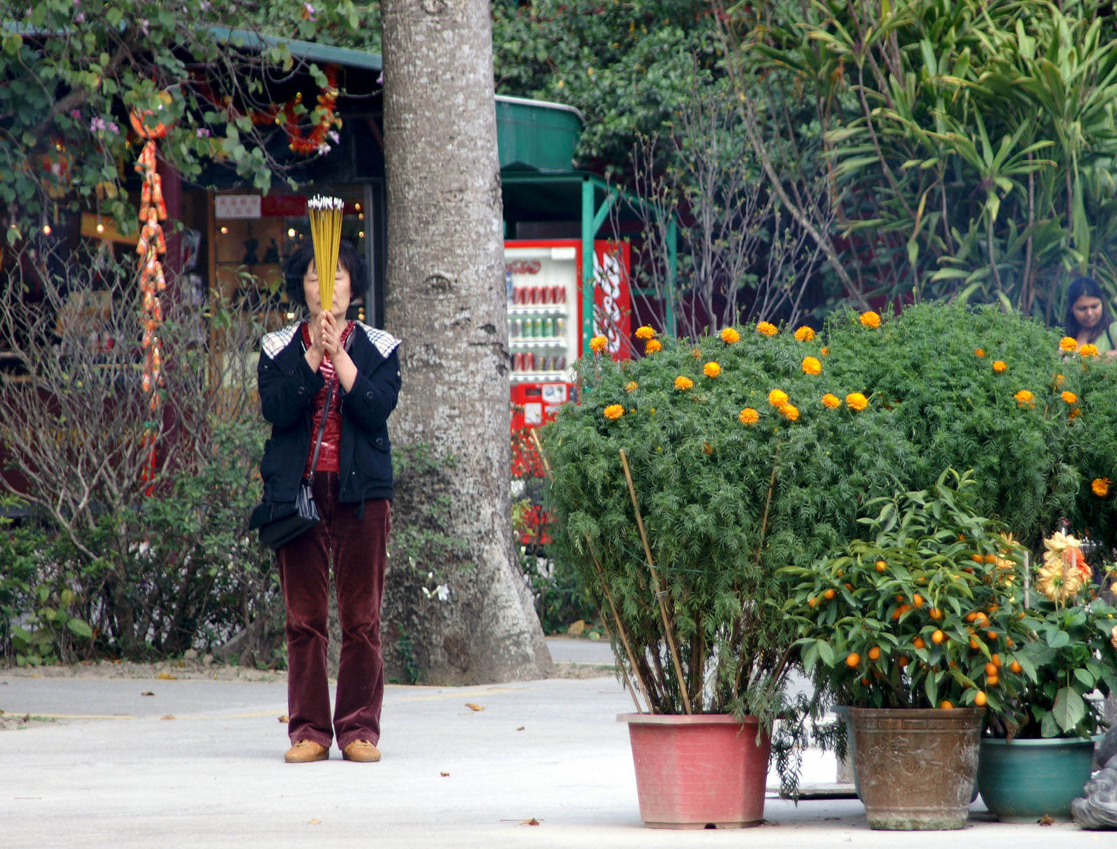 Woman hides behind flowers
