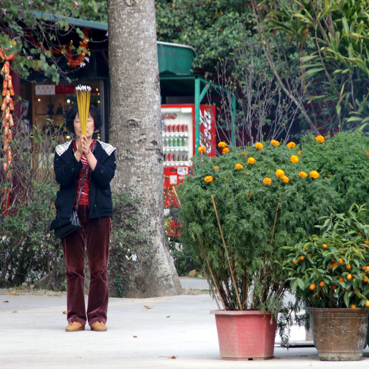 Woman hides behind flowers